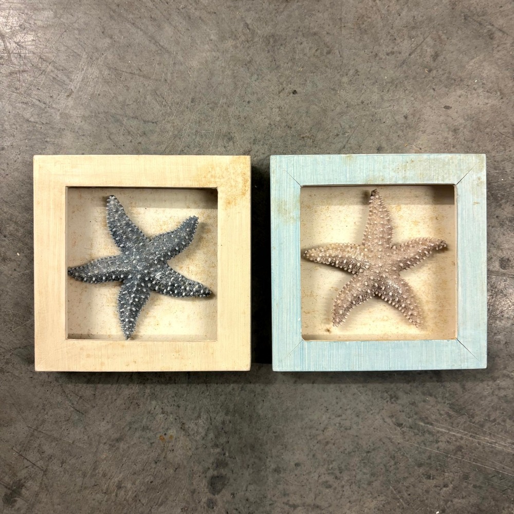 Coastal Starfish Shadow Box Wall Art Set of 2 Blue White Beach Decor 5.5x5.5